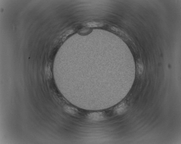 X0000078290422200612011814