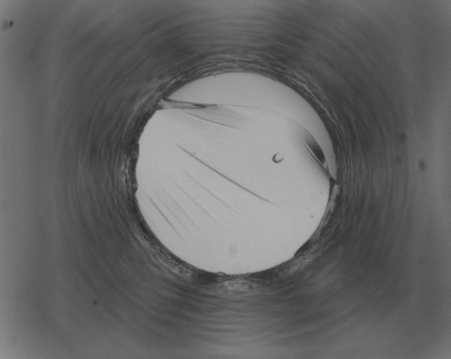 X0000078290423200612011814