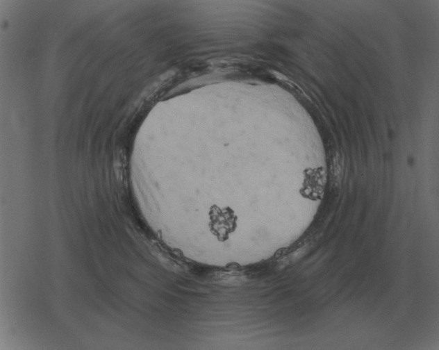 X0000078290424200612011814