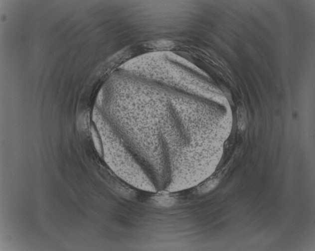 X0000078290425200612011814