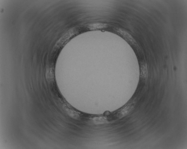 X0000078290426200612011814