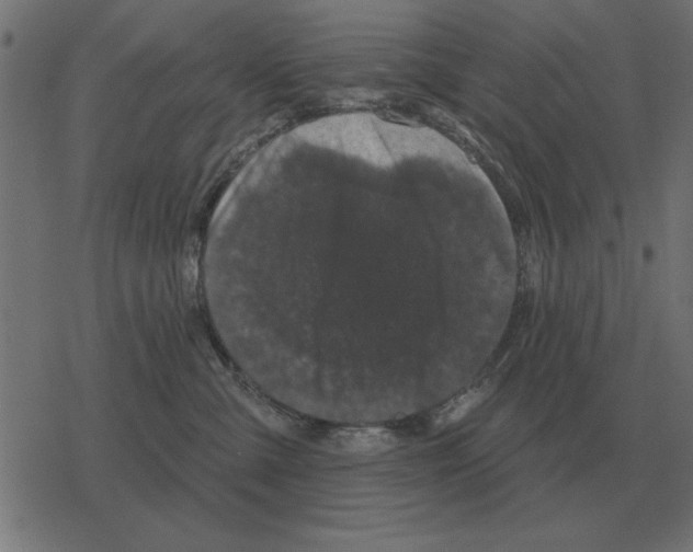 X0000078290427200612011814