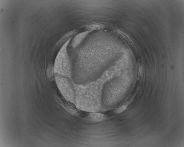 X0000078290429200612011814