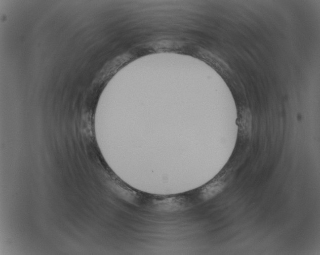 X0000078290430200612011814