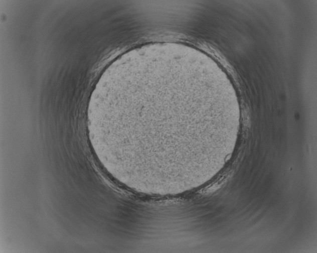 X0000078290433200612011813