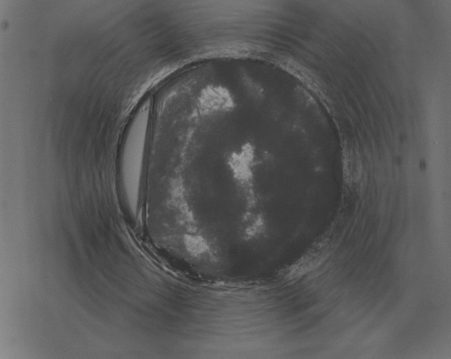 X0000078290434200612011813