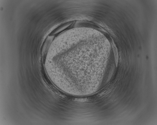 X0000078290440200612011813