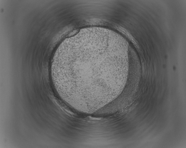 X0000078290442200612011813