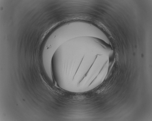 X0000078290444200612011813