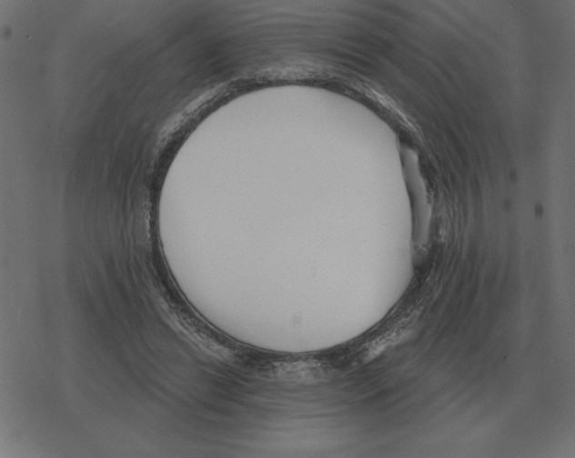 X0000078290446200612011813