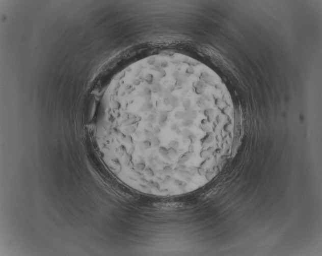 X0000078290448200612011813