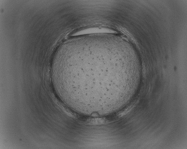 X0000078290449200612011813