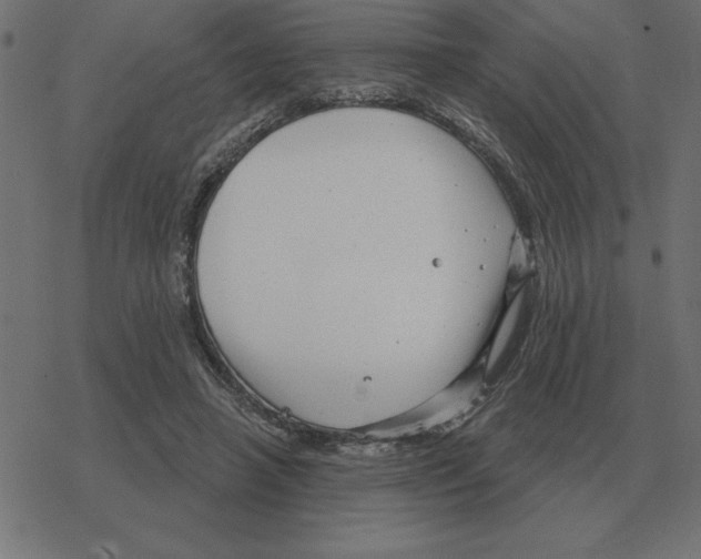 X0000078290450200612011813