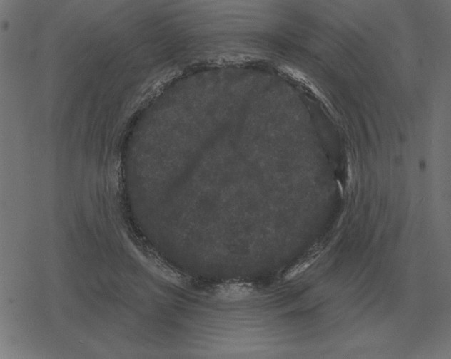 X0000078290451200612011813