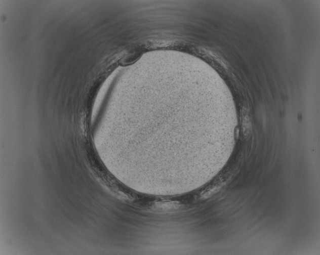 X0000078290455200612011813