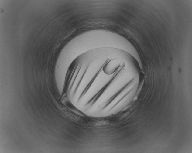 X0000078290456200612011813