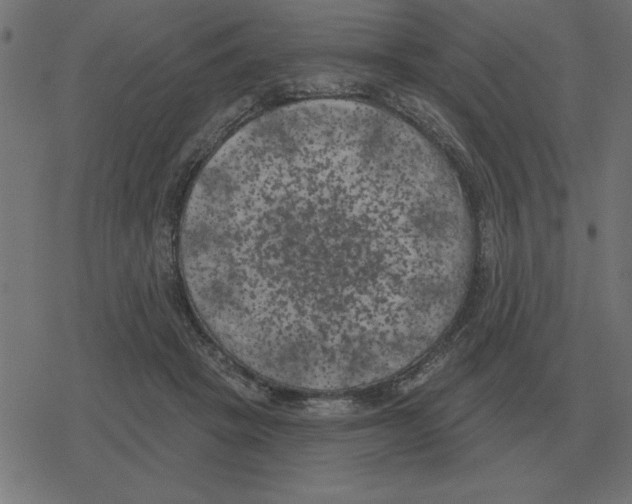 X0000078290457200612011813