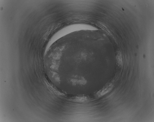 X0000078290458200612011813