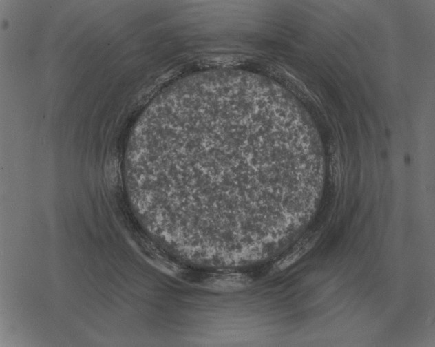 X0000078290459200612011813