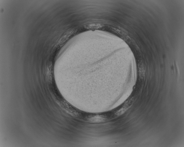 X0000078290460200612011813