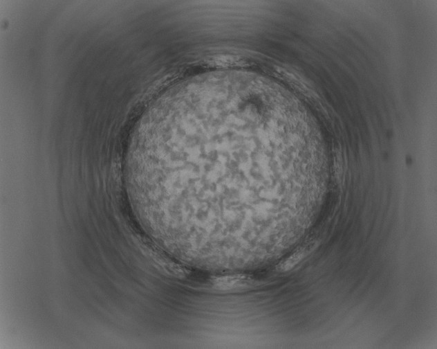 X0000078290461200612011813