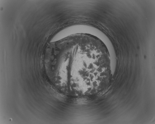 X0000078290462200612011813