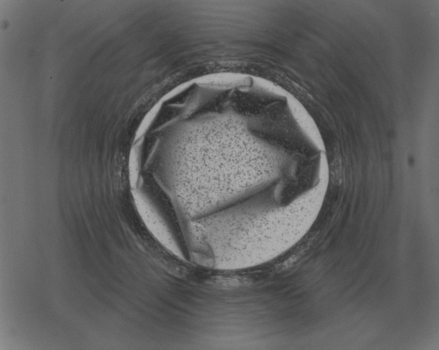 X0000078290464200612011813