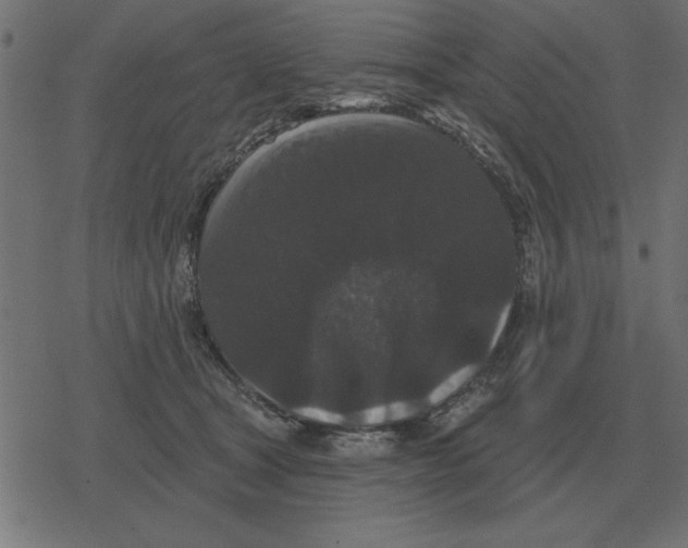 X0000078290465200612011813