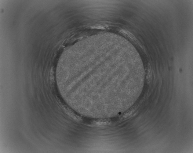 X0000078290466200612011813