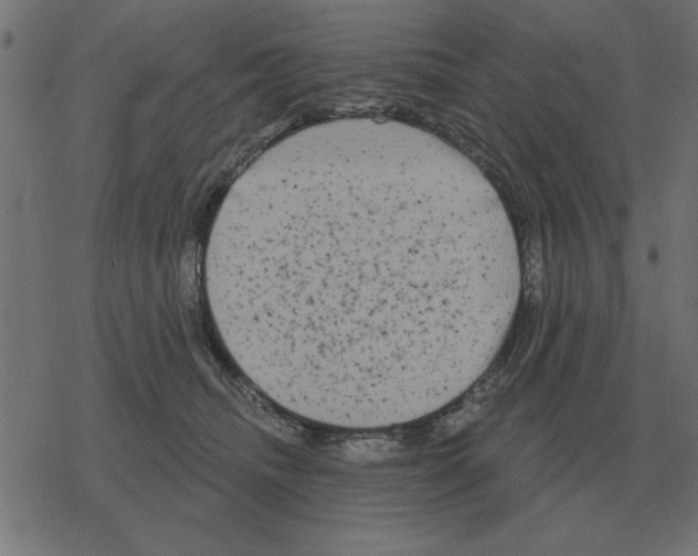 X0000078290468200612011813