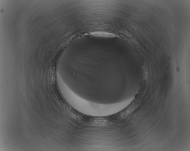 X0000078290471200612011813