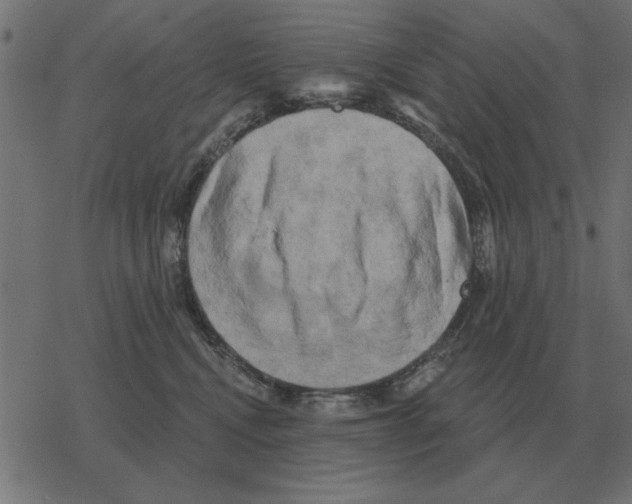 X0000078290472200612011813