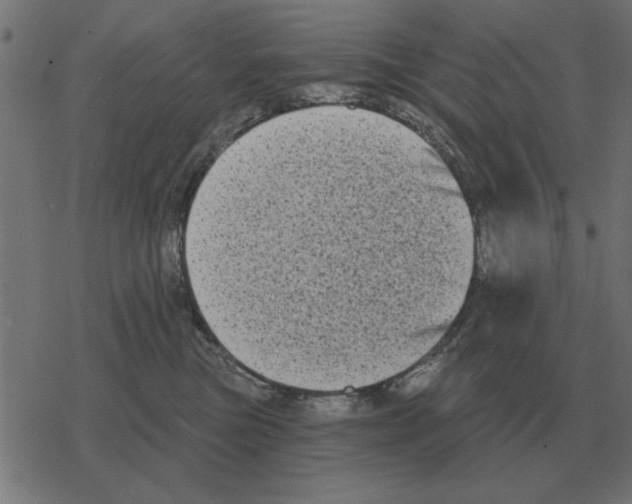 X0000078290473200612011813