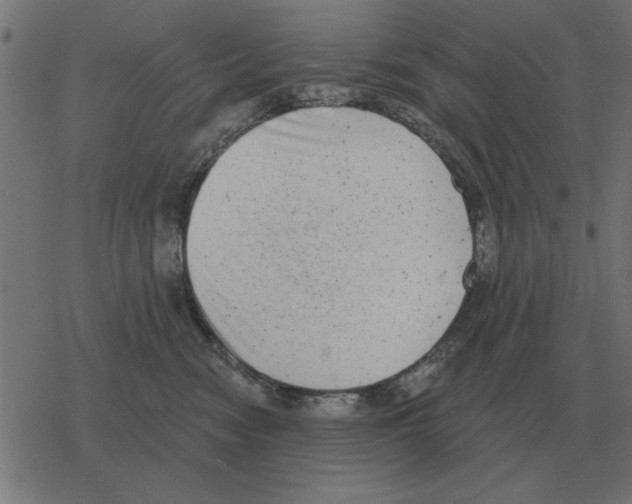 X0000078290474200612011813