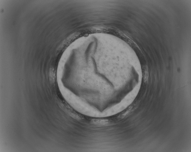 X0000078290476200612011813