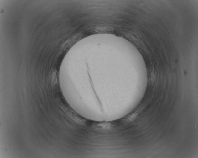 X0000078290478200612011813