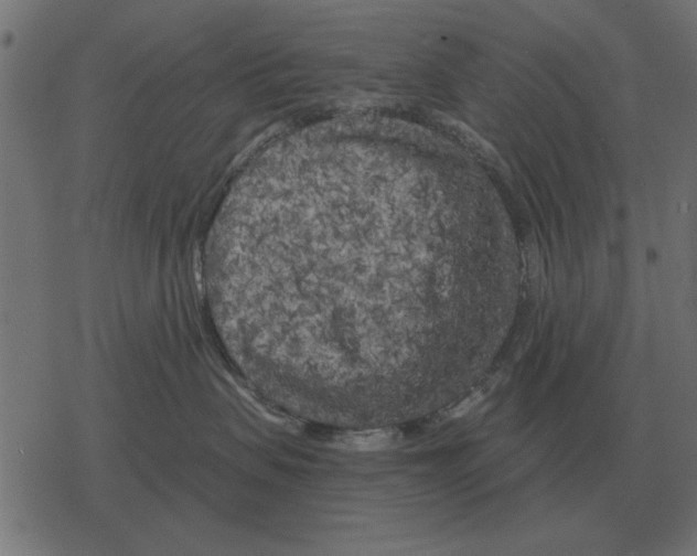 X0000078290479200612011814