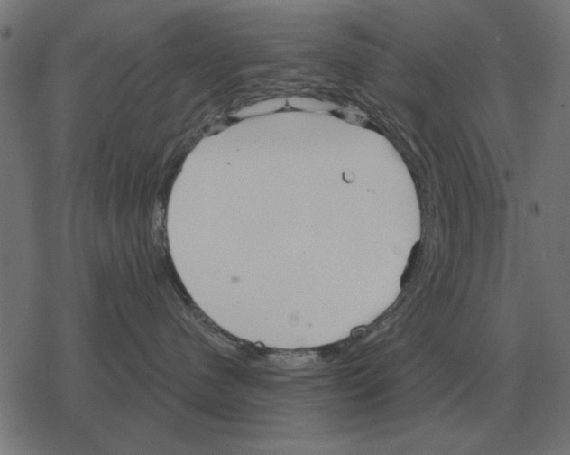 X0000078290480200612011814