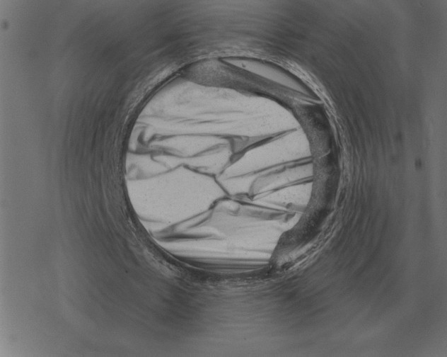 X0000078290481200612011813