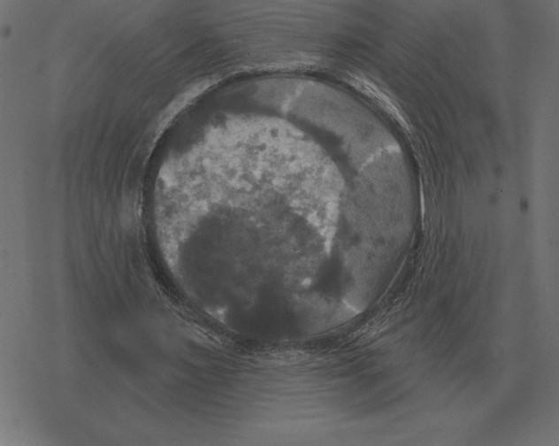 X0000078290483200612011813