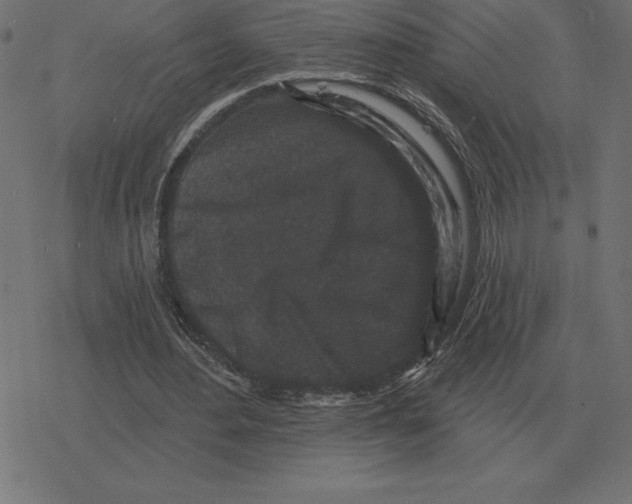 X0000078290484200612011813