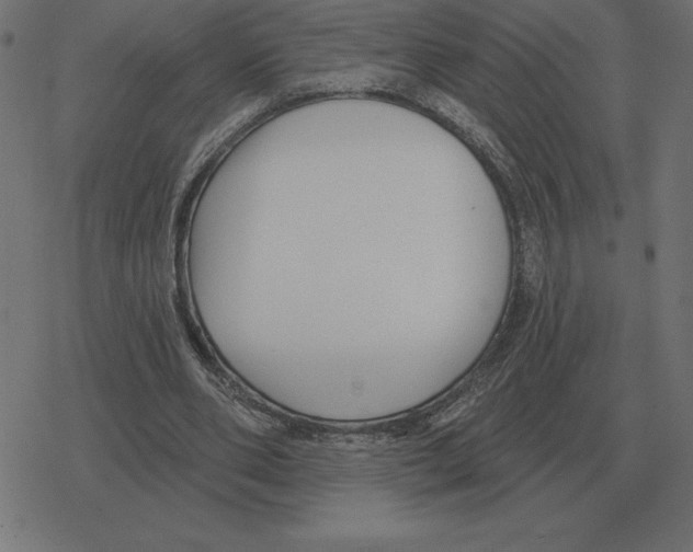 X0000078290486200612011813