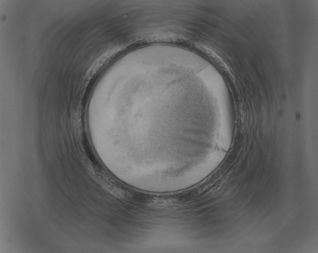 X0000078290487200612011813