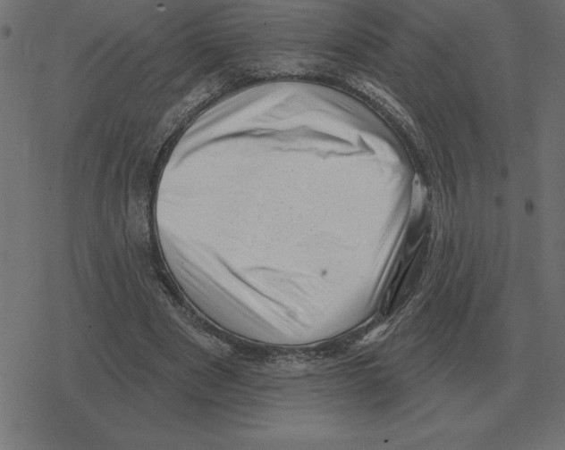 X0000078290489200612011813