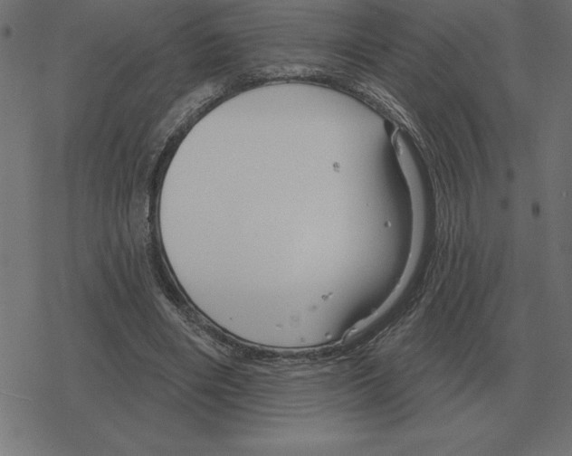 X0000078290490200612011813