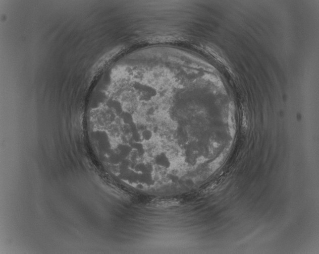 X0000078290491200612011813