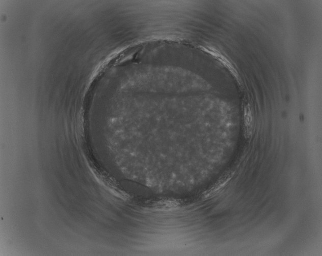 X0000078290492200612011813