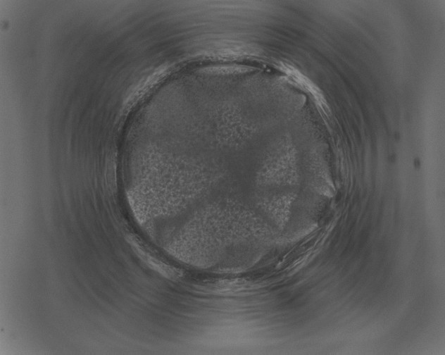 X0000078290493200612011813