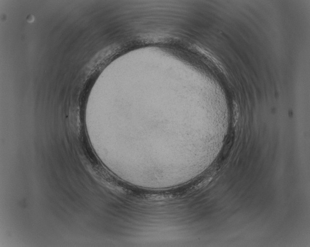 X0000078290494200612011813