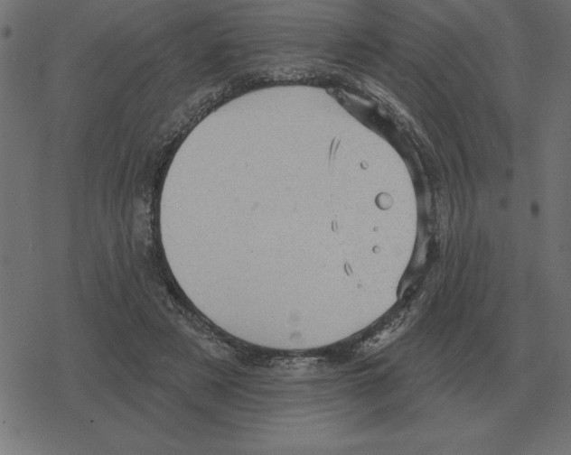 X0000078290497200612011812